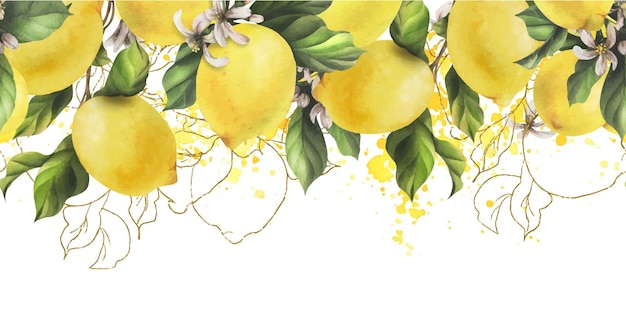 Vettore i limoni sono gialli, succosi, maturi, con foglie verdi, boccioli di fiori sui rami, tutta l'acquerello a mano.