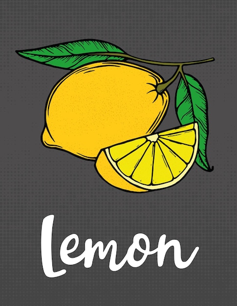 Лимоны и листья. Ломтики лимона. Свежие цитрусовые, половина нарезанного лимона. Ручной рисунок вектора контура.