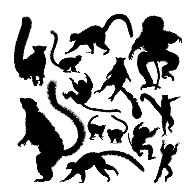 Lemur dierlijke silhouetten