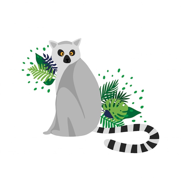Vettore lemure isolate nella priorità bassa bianca