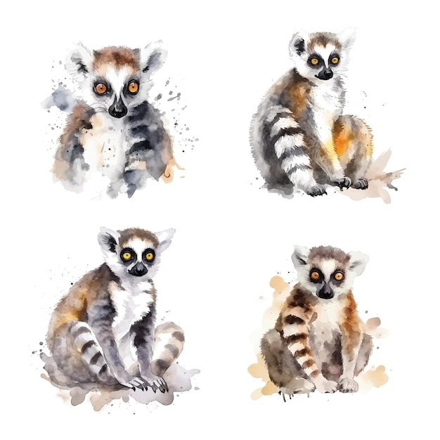 Lemur watercolor paint collection