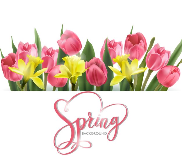 Lente achtergrond met bloeiende lente bloemen roze tulpen narcissus spring concept