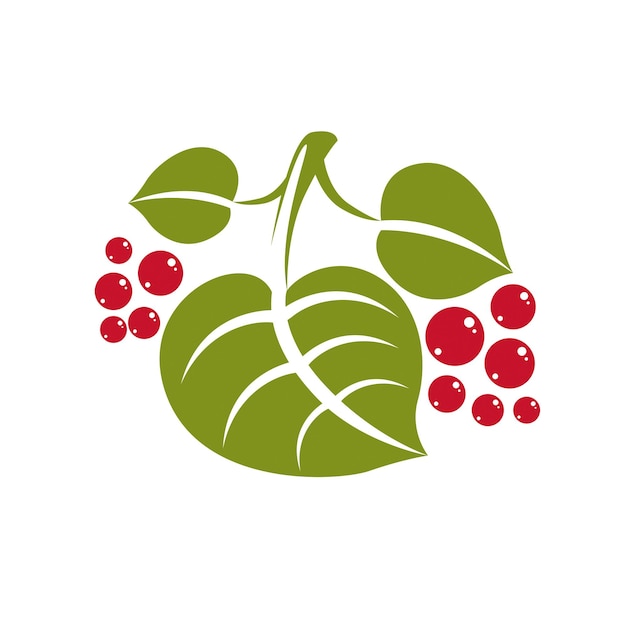 Vector lente blad eenvoudige vector pictogram, natuur en tuinieren thema illustratie. gestileerd boomblad met rode zaden, plantkunde en vegetarisch ontwerpelement.