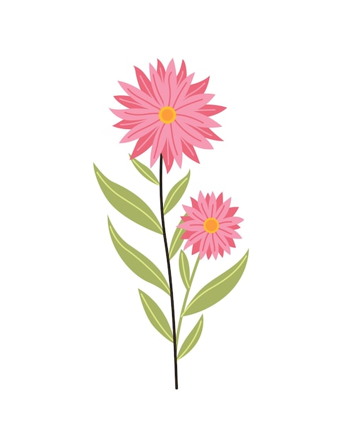 Lente bloem botanische bloemen pictogram ontwerp tuin plant op witte achtergrond kleurrijke platte vector illustratie goede decoratie voor bruiloft uitnodiging of plakboek