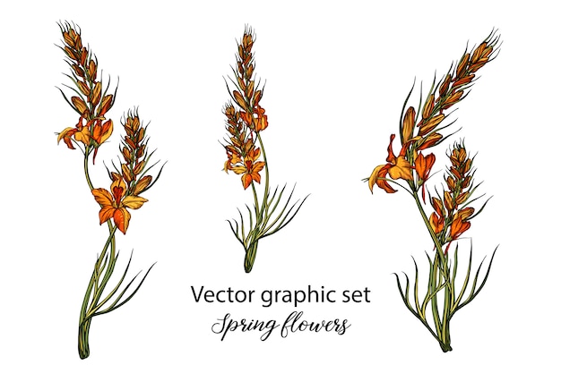 Vector lente bloem illustratie