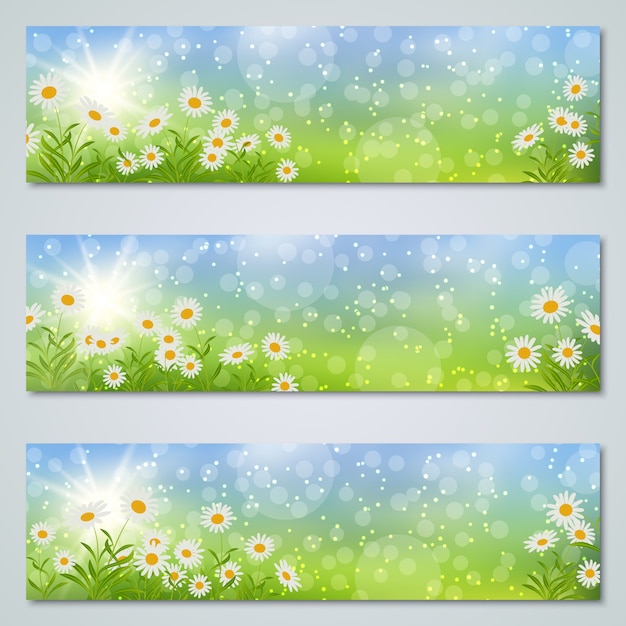 Lente en zomer banners templates-collectie