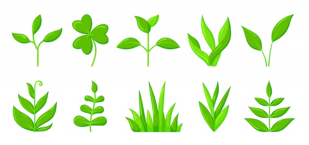 Lente groen gras spruit plant platte cartoon icon set, organische zaailing plantgoed groeien.