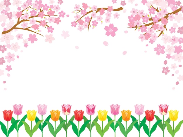 Lente kersenbloesem achtergrond met tulp bloemen Vector illustratie