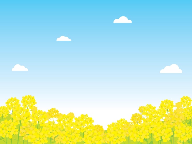 Lente landschap illustratie van canola bloem