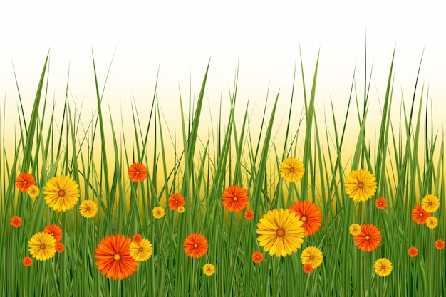 Lente of zomer achtergrond, zonnige dag met bloemen en gras, illustratie. pasen-decoratieelement met de lentegras en weidebloemen