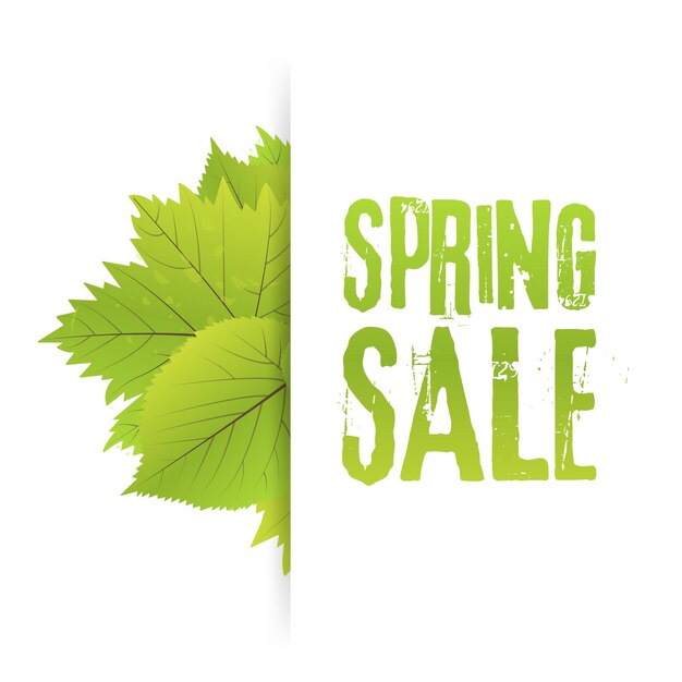 Lente Sale Poster Met Groen Blad. Vector banner sjabloon illustratie.