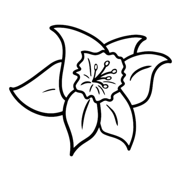 Lentebloem Eenvoudige narcissenknop monochroom botanische vectorillustratie