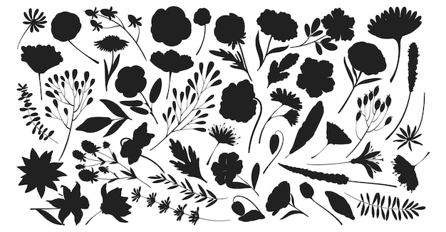 Lentebloemen laten botanische bloemenelementen plat Vector silhouetten