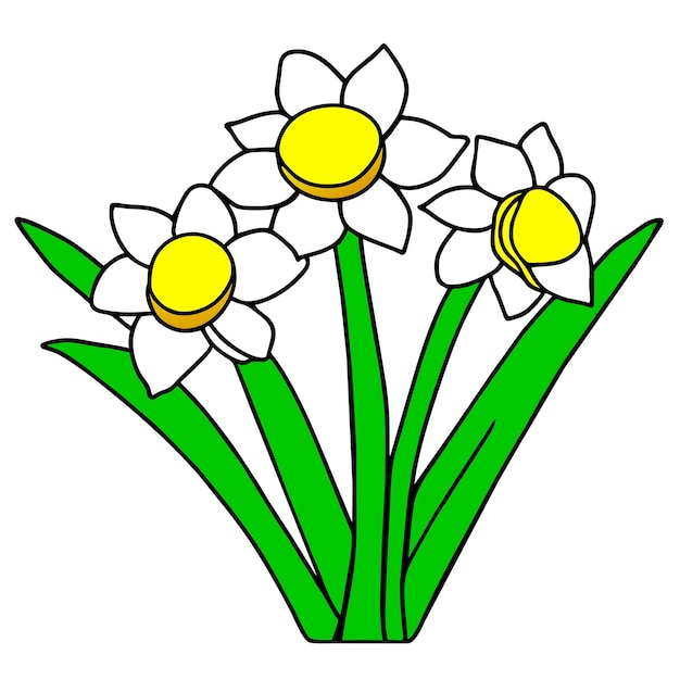 Vector lentebloemen narcissusbloem met groene bladeren