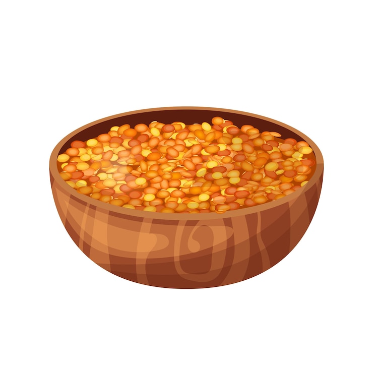 Vector lentil food cartoon vector illustration