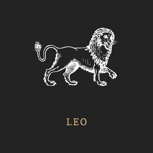 Vector leo dierenriem symbool hand getekend in gravure stijl vector grafische retro afbeelding van astrologisch teken lion