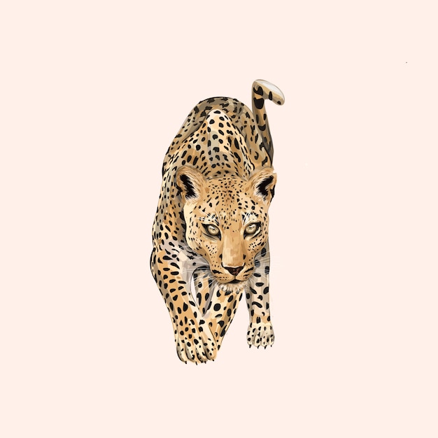 Leopard dier