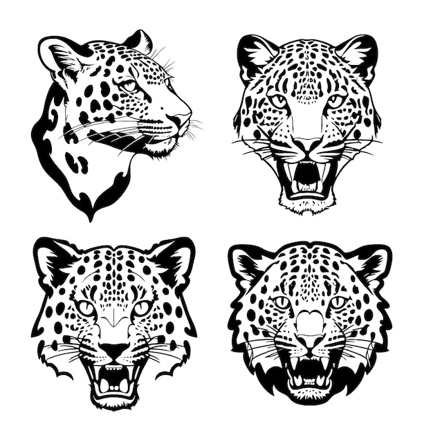 Vettore set di stencil vettoriale del logo della testa di leopardo