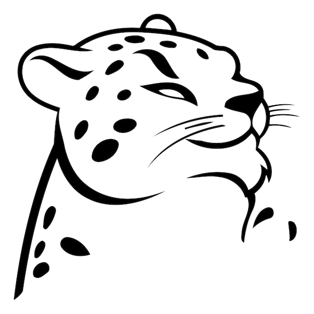 Vector leopard head vector illustration isolated on a white background for your web and mobile app design