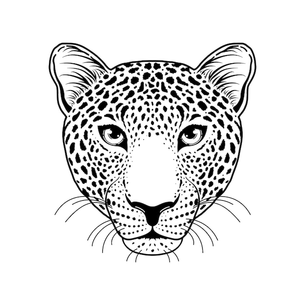 Vector leopard muzzle on white background