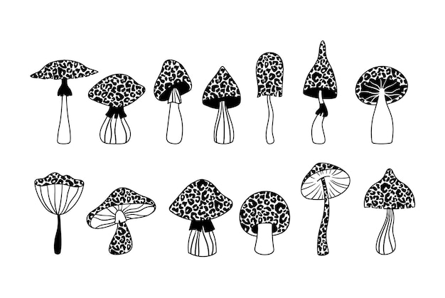 표범 무늬 버섯 고립 된 클립 아트 세트 흑백 버섯