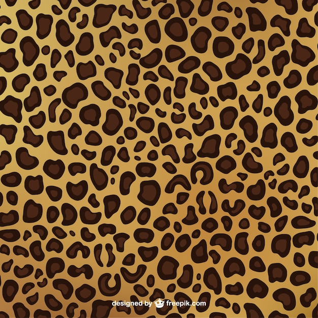 Leopard Print Pattern