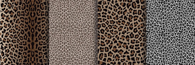 Leopard Seamless Patterns set Fashion repeat backgrounds