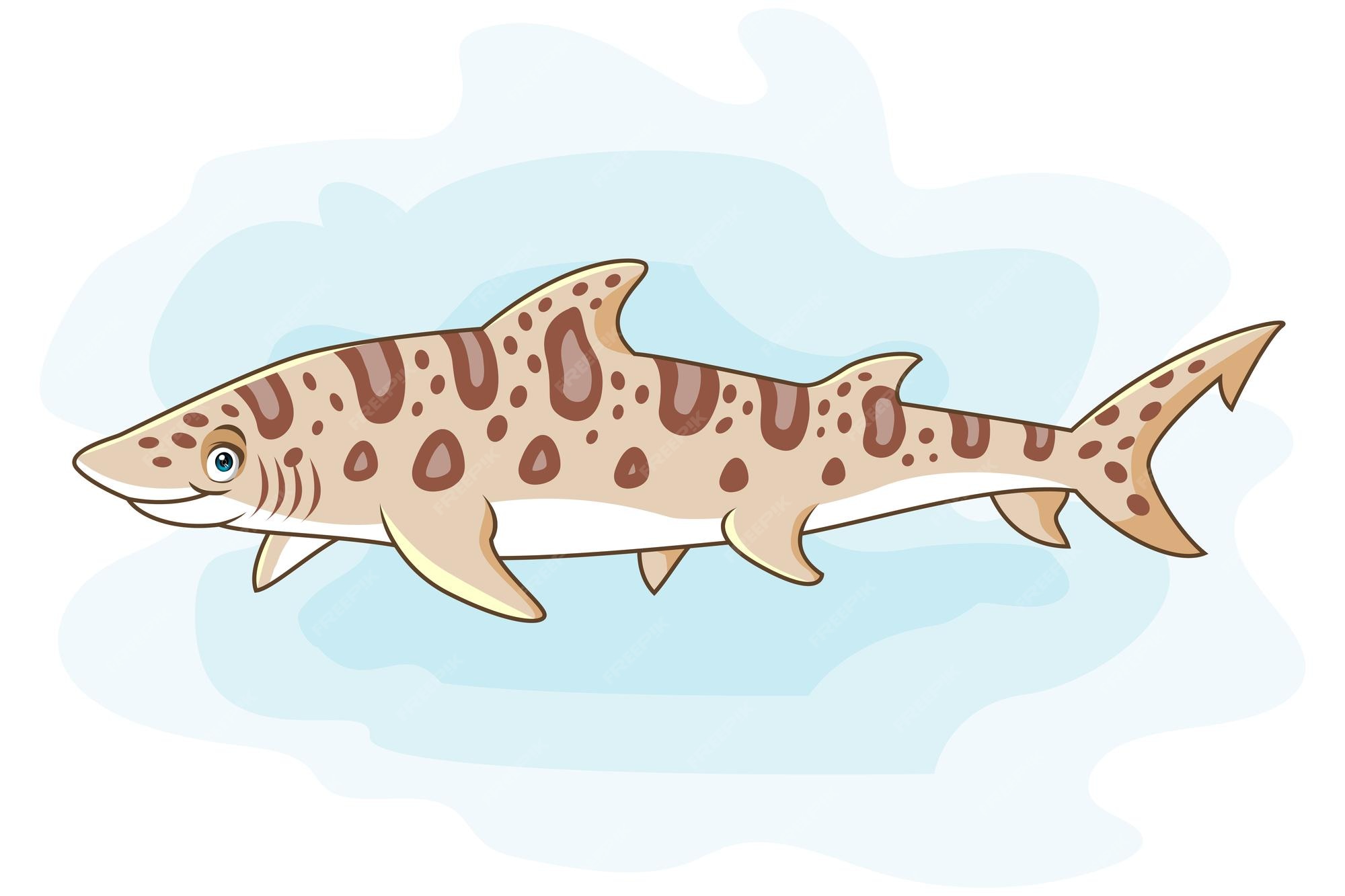 Leopard Shark Drawing