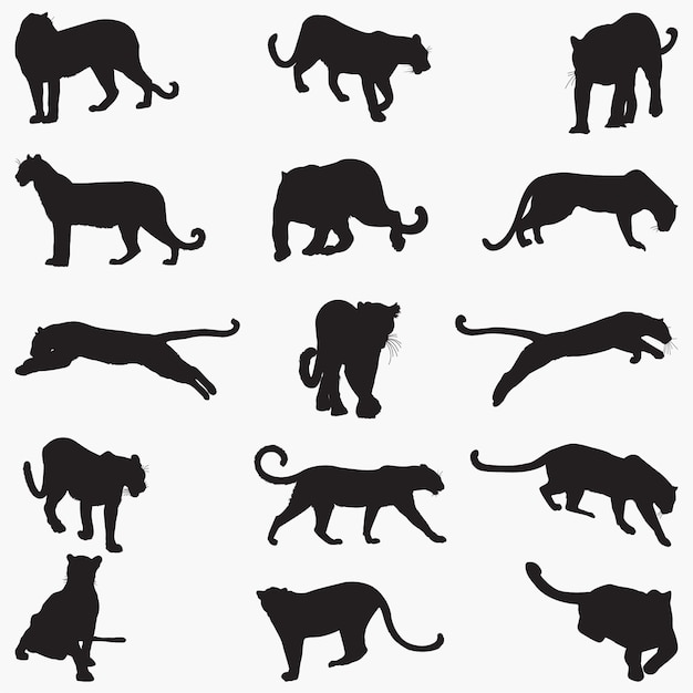 Leopard silhouettes