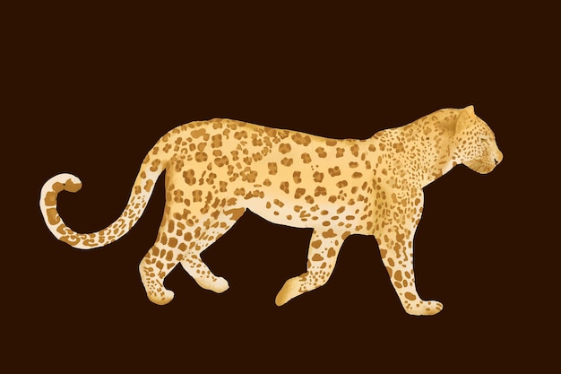 Vettore disegno vettoriale leopardo