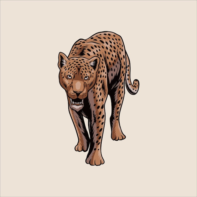 Vector leopard