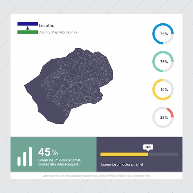 Modello di lesotho map & flag infographics