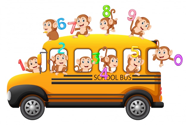 Vector let's count with monkey on the school bus