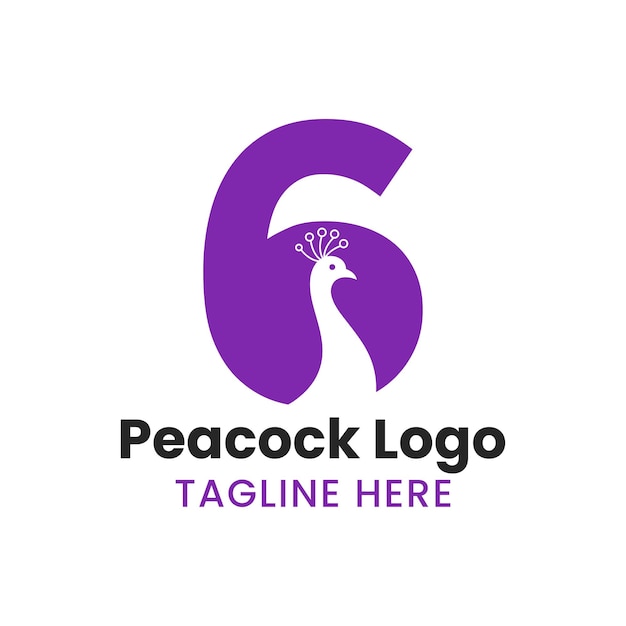 Letter 6 peacock logo template vector template