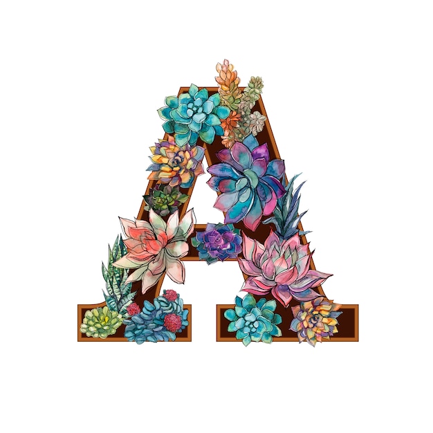 Letter a. succulents