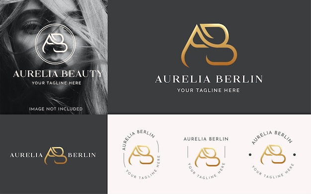 Letter A and B luxury monogram logo design