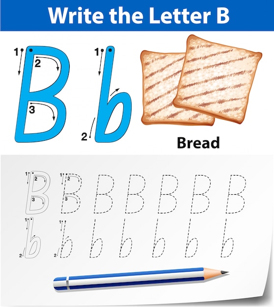 Vector letter b tracing alphabet worksheets