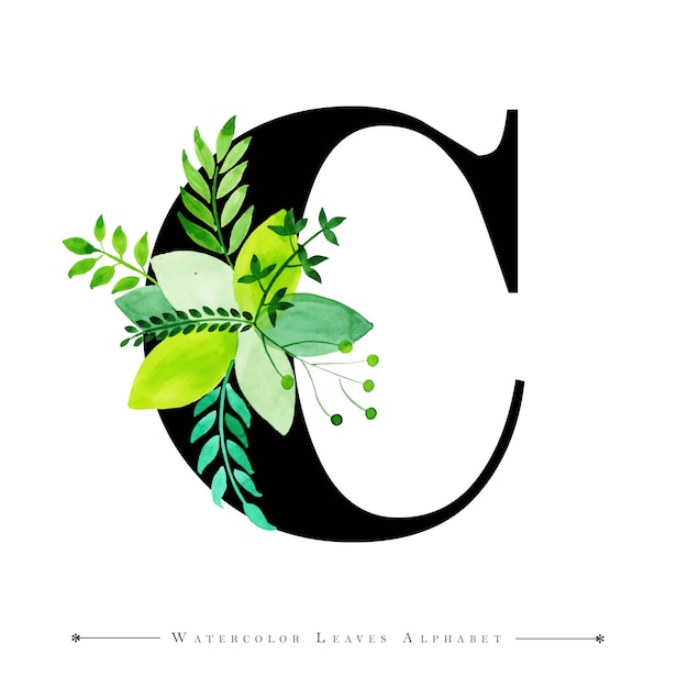 Vector letter c with watercolor leaves background