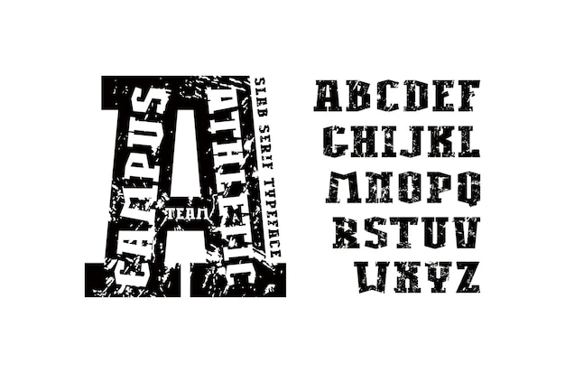 Vector letter font design vector