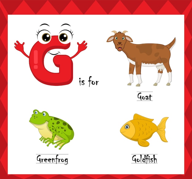 Letter g vector, alphabet g for goat, greenfrog, goldfish animals, english alphabets learn concept.