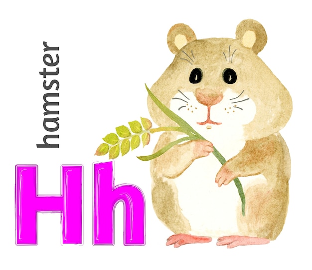 Letter H of the English alphabet with the image of a hamster in watercolor on a white background