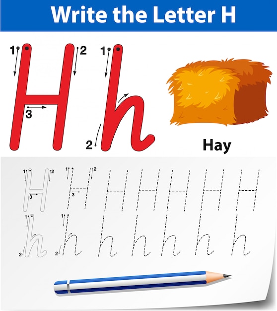 Vettore lettere di alfabeto dell'alfabeto di tracciamento della lettera h