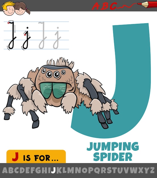 letter J uit alfabet met cartoon springende spin dierlijke karakter