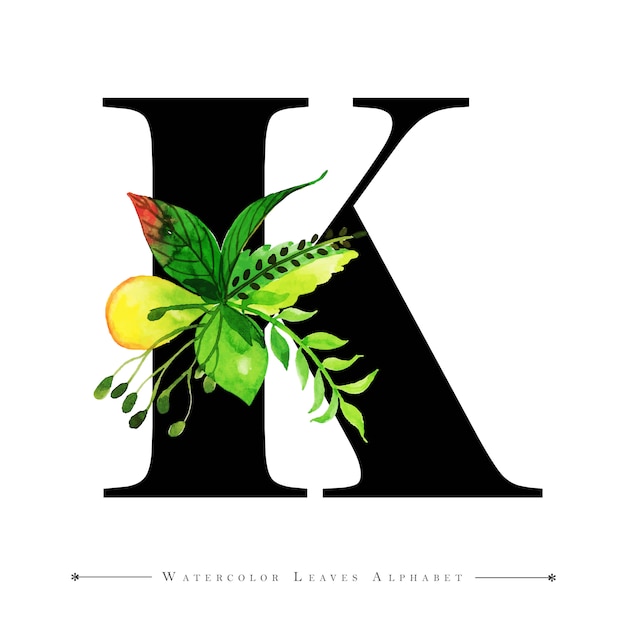 Vector letter k with watercolor leaves background