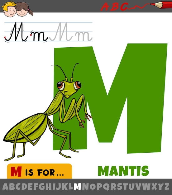 Letter m from alphabet with cartoon mantis insect