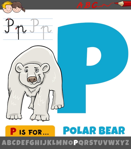 letter P from alphabet with cartoon polar bear animal character