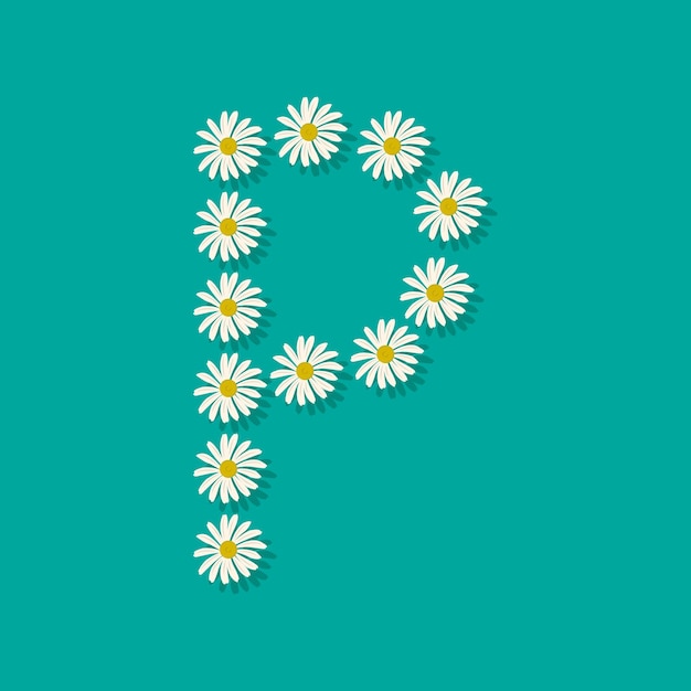 Letter P from white chamomile flowers. Festive font or decoration for spring or summer holiday and design. Vector flat illustration