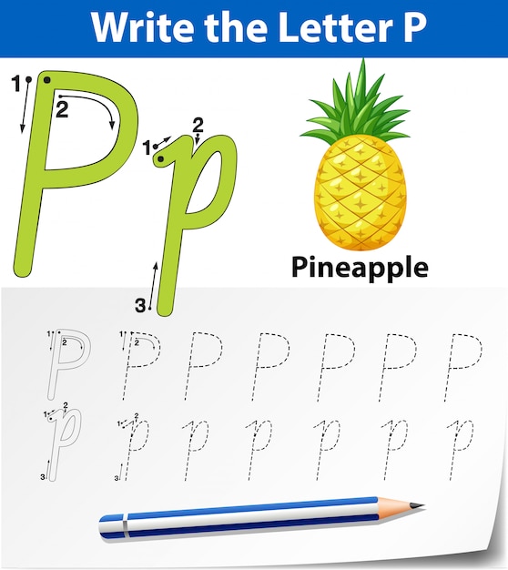 Letter p tracing alphabet worksheets