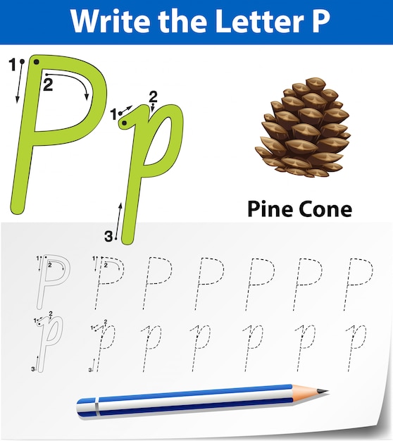 Letter p tracing alphabet worksheets