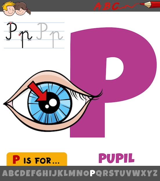 Letter p uit alfabet met pupil van het oog